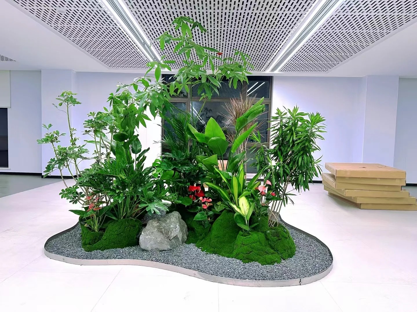 专业花木租赁，为宁波鄞州添绿彩